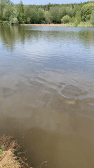 Morning fishing session recorded in Garevaya, Russia
