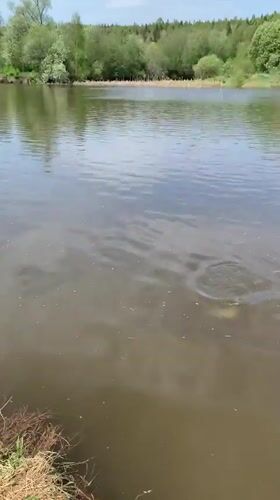 Morning fishing session recorded in Garevaya, Russia