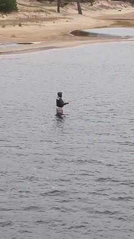 A single person is standing in the water and fishing. The person is wearing a hooded jacket and waders. The water is a calm lake or river. In the background there is a sandy bank with some trees. The scene is overcast and muted in color.