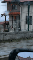 Rainy morning neighborhood observations include houses, roads, sleeping cat