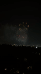 Fireworks display lights up Dubai skyline Thursday evening