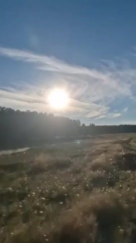 This video shows a landscape scene at sunrise or sunset. The sun is low in the sky, casting a bright glow. The sky is blue with wispy white clouds. In the foreground, there is a field of dry grass and vegetation. In the middle ground, there is a body of water, possibly a lake or river, with a light mist rising from its surface. The background consists of a dense line of trees. The camera appears to be moving slowly, possibly from a vehicle, as there is some motion blur. The overall impression is one of a serene natural environment.