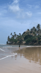 Quiet morning on a Sri Lankan beach and its nearby village