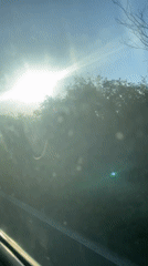 Morning drive through Debelt countryside captured on video