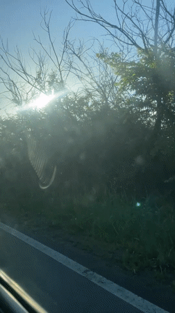 Morning drive through Debelt countryside captured on video