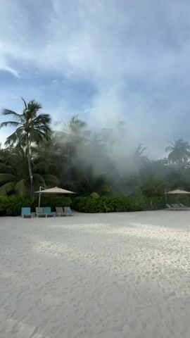 The video opens on a sandy beach with palm trees in the background. There are several beach chairs and umbrellas set up on the sand. A plume of smoke is rising from the trees, obscuring some of the foliage. The sky is partly cloudy. The camera is static and does not move throughout the video.