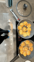 Woman cooks with Chihuahua watching in Birobidzhan kitchen