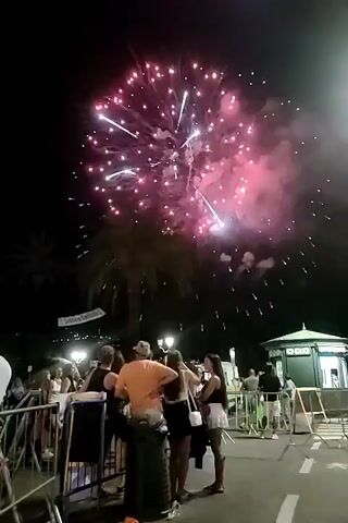 This is a nighttime video of a fireworks display. In the foreground, a crowd of people is gathered, some standing behind metal barriers. The people are casually dressed, suggesting a festive atmosphere. In the background, a large fireworks explosion illuminates the dark sky with bright green and white lights, creating a radiant spectacle. Palm trees are visible in the distance, adding to the tropical or coastal setting. The fireworks are the central focus of the video, drawing the attention of the onlookers.
