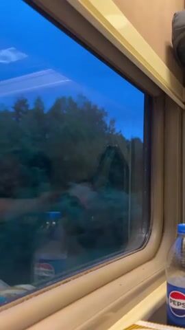 From the perspective of a passenger on a moving train, a window reveals a blurred view of the outside world: a darkening blue sky overhead and a dark, dense forest passing by. Two plastic Pepsi bottles sit on the windowsill.  The passenger's reflection is faintly visible in the glass, suggesting they are looking out the window or perhaps using a device.  Background conversation is audible in Russian.