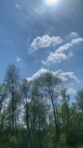 Clear blue sky with clouds observed in Liubilki, Russia