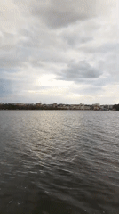 Afternoon along Ternopil's lakefront promenade