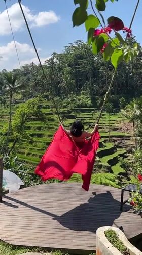 Tourist swings over Bali's Tegallalang rice terraces at scenic resort