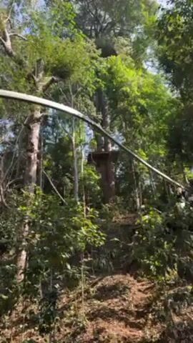 A person is riding a zip line through a forest. The person is wearing a helmet and harness. The zip line is strung between tall trees. The forest is lush and green. The sky is blue. The person appears to be having fun.