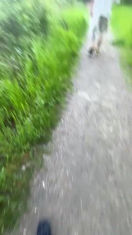 The video begins with a blurred, rapid pan of green foliage and what appears to be a wooden walkway. The camera then slowly pans upward, revealing a vista of a mountain range partially obscured by trees and bushes. The sky is a clear, bright blue. There are no people visible in the video. The primary actions are the camera movement from a close-up of vegetation to a wider view of the mountainous landscape.
