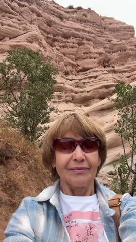 This is a selfie-style video featuring an older woman with short, blonde hair and sunglasses, wearing a blue and white plaid shirt over a white t-shirt with a graphic design. She is outdoors, smiling slightly and looking at the camera.

The background is dominated by a large, layered rock formation, appearing to be sandstone, with a pale pinkish-tan hue. The rock layers are horizontal and have a weathered, eroded texture with many small holes and undulations. There are green trees and dry, brown vegetation scattered around the base of the rock formation and in the foreground. The sky is overcast, suggesting a cloudy day.

The setting appears to be a natural landscape, possibly a park or hiking trail, with evidence of human presence in the form of a wooden signpost with a rope barrier. The overall mood seems pleasant and relaxed, as the woman is enjoying her outdoor excursion. The visible text on her t-shirt is partially obscured but includes the words "the" and "leaves" in a stylized font, along with a graphic of a tree branch with leaves. The location is identified as Lake Forest, USA.