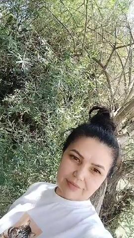 A woman with dark hair pulled up in a bun is looking at the camera. She is wearing a white t-shirt with a picture of a cat on it. The background is filled with green foliage and tree branches. The lighting suggests it is daytime.