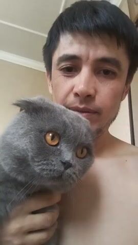 A person holds a gray Scottish Fold cat with orange eyes. The cat is facing left. The person is partially visible, looking into the camera. The background appears to be a room with light-colored walls.