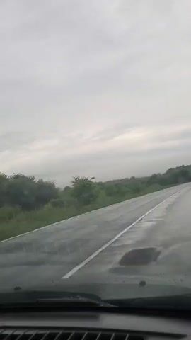 The video captures a view from inside a vehicle driving on a wet road under a cloudy sky. The road has white lane markings and is bordered by lush green trees and foliage. In the distance, hills are visible, partially obscured by mist or fog. The interior of the car is visible in the foreground, showing the dashboard, a windshield wiper, and a dash cam. The scene appears to be a rural or semi-rural landscape during overcast weather.