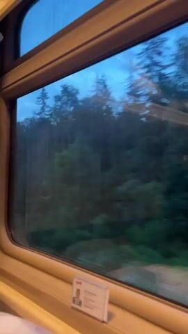The video shows a view from a train window as it passes through a forest. The sky is a deep blue, suggesting either dawn or dusk. The trees are densely packed and appear to be a mix of evergreens and deciduous trees, their green foliage blurred by the train's motion. Raindrops are visible on the windowpane, distorting the view slightly. On the interior of the window frame, a small white identification card is attached, featuring a man's portrait and some text in Cyrillic script. The train car's interior appears to be a light tan color. The overall impression is one of a peaceful, scenic train journey through a damp, wooded landscape.