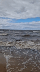 Baltic boulder at the shoreline, Vārzas beach, Latvia