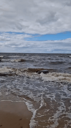 Baltic boulder at the shoreline, Vārzas beach, Latvia