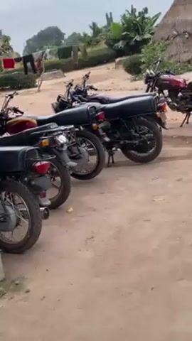 The video shows a row of parked motorcycles on a dirt lot in a rural setting. The motorcycles are mostly black, with a few having red and yellow accents. Some have racks on the back. In the background, there is a line of laundry hanging, trees, and a building with a thatched roof. A small dog briefly appears between two of the motorcycles. The sky is overcast.