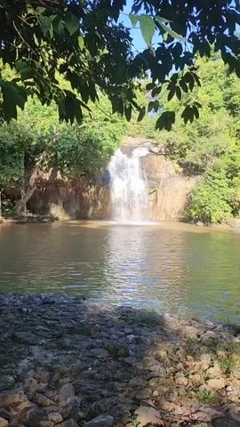 A medium shot shows a waterfall cascading into a tranquil pool of water. The waterfall is surrounded by lush green trees and rock formations, with sunlight filtering through the leaves. The foreground is rocky, with shadows of leaves dappled across the ground. The video is a continuous shot of the waterfall.