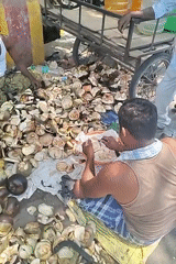 Roadside fruit vendors and cattle herding captured on city streets