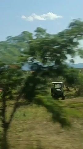 The video appears to be a shaky, first-person perspective shot from a moving vehicle, possibly a car or bus. The scene primarily consists of rural landscapes with glimpses of buildings and vehicles.

At the beginning of the video, around 00:00-00:01, an olive grove is visible under a bright blue sky with a few wispy clouds. The trees are lush and green, and the terrain appears somewhat arid.

From 00:01-00:02, a small, utilitarian building comes into view. It has a gray facade and a flat roof adorned with potted plants. Two cars are parked in front of the building: a small, light-colored car and a white SUV. The image is blurred due to the motion of the vehicle.

The latter part of the video, from 00:01 onwards, continues to show passing olive groves and fields, interspersed with trees and vegetation. Distant, hazy mountains or hills are visible on the horizon. The sun is bright, suggesting a daytime scene. There are no people clearly visible in the footage, only the implied presence of someone operating the vehicle. The overall impression is that of a journey through a rural, possibly Mediterranean, setting.