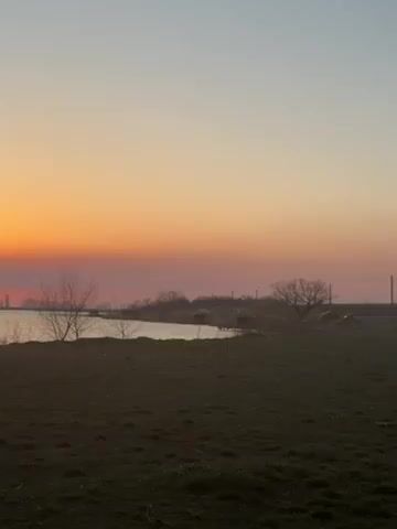The video shows a landscape at sunset with a body of water in the background. The sky is transitioning from orange to a light blue. In the foreground, there is a grassy field with bare trees and bushes dotting the shoreline. The sun is visible on the horizon, appearing as a red disk. The camera pans slightly, revealing a weeping willow tree silhouetted against the sunset. The sound of children's voices can be heard.
