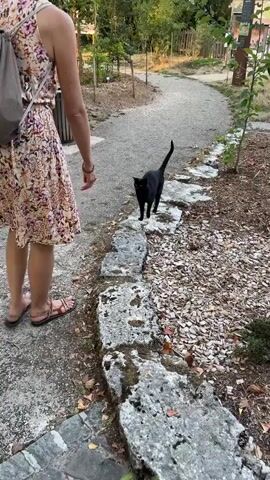 A person wearing a floral dress and sandals walks on a gravel path beside a stone border. A black cat walks in front of the person on the stone border. The person reaches out and pets the cat. The environment appears to be outdoors, possibly a park or garden, with trees and foliage visible in the background.