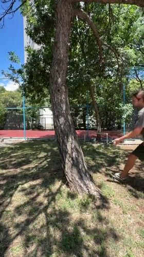 Man performs athletic move around tree in Podgorica
