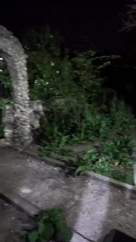 The video begins with a blurry view of a stone archway leading to an overgrown path at night. The camera then shifts focus to a black dog sitting on a concrete window ledge. The dog wears a pink and white collar with a circular tag. The dog sits calmly and looks down. The window is partially covered by a sheer white curtain. An air conditioning unit is visible above the window, and a wooden door is to the right. The base of the building is constructed with rough stones.