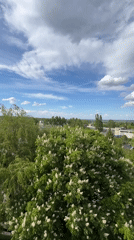 Paint mixing session and city views captured Thursday afternoon