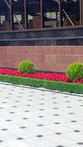 This video shows a row of neatly manicured green bushes interspersed with vibrant red flowers, bordered by a low green hedge and a white decorative border. The flower bed is situated in front of a textured reddish-brown wall, which is part of a larger building structure with dark tinted windows. The foreground features a paved walkway with a geometric pattern of light and dark square tiles. The scene appears to be an outdoor public space, possibly a park or the entrance to a building, with a focus on landscaping and architectural elements.