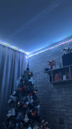 Resident documents quiet evening at home in Chaykovsky