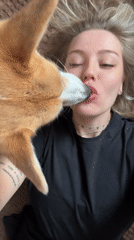 Woman and corgi share playful moment in Borzya