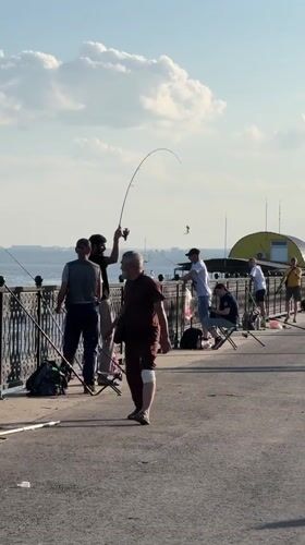 Afternoon activities along Saratov's Volga River waterfront promenade