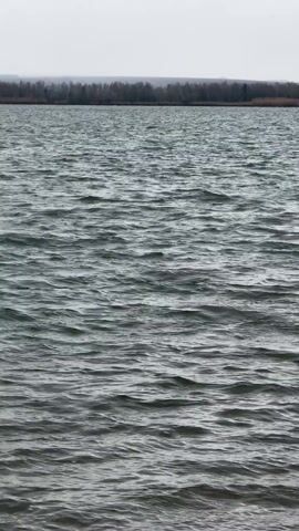 The video shows a grey, overcast sky above a lake with choppy water. A line of trees is visible on the opposite shore.