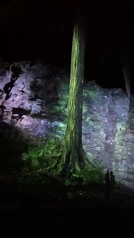 A solitary tree stands illuminated by projected lights in front of a rock face. The tree trunk is lit with a bright green light, making its bark and gnarled roots highly visible. The surrounding foliage at the base of the tree also glows with a vibrant green. The rock face behind the tree is illuminated with shifting patterns of purple and green light, creating an ethereal and somewhat surreal atmosphere. The scene is dark, with the night sky visible above, suggesting the video was recorded outdoors after sunset. The overall impression is one of a mystical forest setting enhanced by artistic lighting.