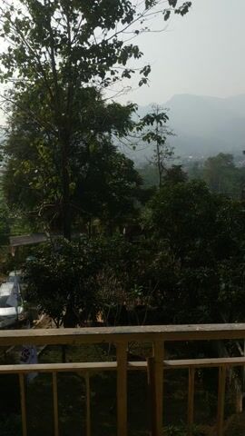 The video shows a landscape view from behind a yellow painted metal railing. The view consists of a mix of trees and greenery, with a background showing hazy hills or mountains in the distance. The ground below the trees is covered in grass and foliage. The camera appears to be held in portrait orientation, giving the video a taller aspect ratio.
