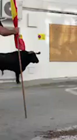 The video depicts an outdoor scene in what appears to be an urban setting, possibly a street or alleyway in Vejer de la Frontera, Spain. The primary subjects are several people and a large, black, two-dimensional bull silhouette or cutout mounted against a white wall.

At the beginning, a person in a black t-shirt and light shorts stands holding a red and yellow flag on a pole, facing the bull figure. The flag resembles the Spanish national flag or an Andalusian flag. The camera then focuses on the black bull cutout, which is prominent against the white wall. Adjacent to the bull, a yellow square sign with a purple circular symbol is visible on the wall, along with a rectangular wooden panel or door. An outdoor air conditioning unit is also mounted on the wall.

Another man, wearing a blue and black striped t-shirt and black shorts, then appears, standing with his back to the camera and facing the bull cutout. He extends his arms outwards as if gesturing or performing. The camera briefly shows this interaction from behind a person's shoulder. Towards the end of the video, the camera pans downwards, showing the ground, which has some debris or marks. In the blurred background, a crowd of people can be seen gathered, observing the activity.

The event appears to be a public cultural performance or a celebratory display, given the flag, the crowd, and the artistic representation of the bull. The time of day is daylight, and the weather seems clear. No discernible text is clearly visible on any signs or objects within the video frame.