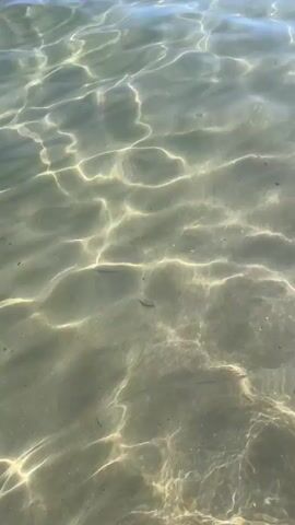 The video shows a close-up view of clear, shallow water with sunlight reflecting off the surface, creating dappled patterns. The bottom appears to be sandy and light-colored. Tiny fish can be seen swimming in the water. The camera movement is minimal, providing a stable, almost static shot of the underwater scene. The overall impression is one of a serene and natural environment.