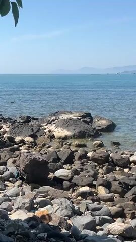 The video shows a rocky shoreline with the ocean in the background. The water is a clear blue, and the sky is a bright blue with no clouds. The rocks are of various sizes and colors, and some are wet from the waves. There are some green leaves visible in the upper left corner of the frame, suggesting there is vegetation nearby. The overall scene is tranquil and natural.