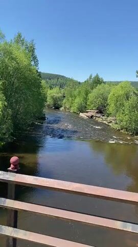 The video shows a view from a bridge over a river. The river is flowing, and there are trees and hills in the background. The sky is clear and blue. In the foreground, there is a railing of the bridge. On the railing, there is a small stack of stones with a blue and white sphere on top. The camera pans to the right, showing more of the river and the trees on the banks. The sun is shining, and the day appears to be warm and pleasant.