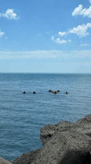 Beach activities observed along Bulgarian Black Sea coast near Nesebar