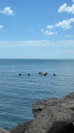 Beach activities observed along Bulgarian Black Sea coast near Nesebar