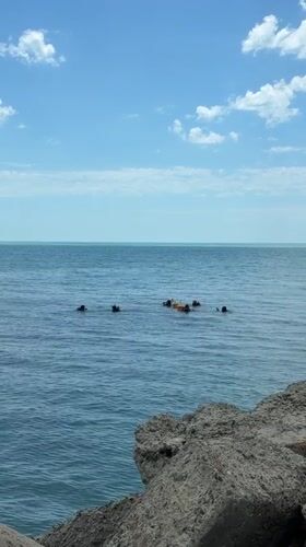 Beach activities observed along Bulgarian Black Sea coast near Nesebar
