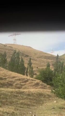 The video shows a landscape with rolling hills and trees under a cloudy sky. There are several large transmission towers visible on the hills. The foreground features dry grass and some bushes. The camera appears to be mounted inside a vehicle, as evidenced by a small black object at the top left of the frame and motion blur suggesting movement. The scene is pastoral and rural. There are no people or animals clearly visible.