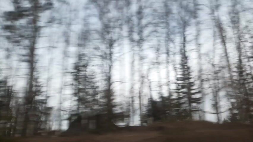 The video shows a blurred view from a moving vehicle, likely a car. The roadside is visible in the foreground with patches of brown earth and some remaining snow. Beyond the roadside, there is a dense forest of trees, some appearing to be evergreens while others are bare, likely deciduous trees. The sky is overcast and light. The motion creates blurring, but the general setting appears to be a rural or forested area.